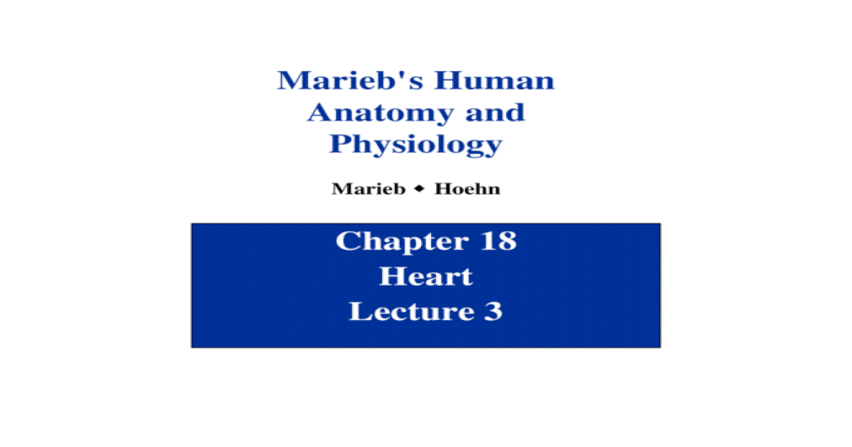 Chapter 18 Heart Lecture 3 Marieb’s Human Anatomy and Physiology Marieb Hoehn [PPT Powerpoint]
