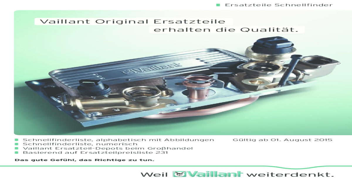 171173 VAILLANT Thermoelement Nr